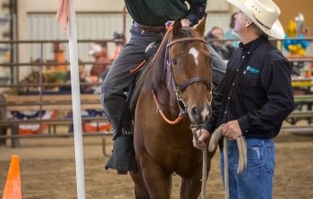 10th Annual Rosewood Rodeo Branded A Success