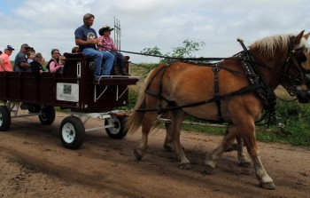 More Than 100 Participate in Rosewood’s “Kids Day at the Ranch”