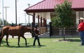 Rosewood Riders Close Out In-State Horse Show Schedule in Hutch