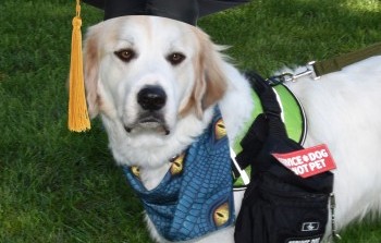 Service Dog Helps Bring Stability to Bazine Boy and His Family